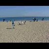 Beach07.jpg